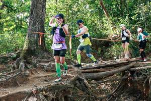 BIB: 
                            <button type="button" onclick="openModal(27558275)" class="btn btn-primary btn-sm float-right btn-popup" data-toggle="modal" data-target=".modal-high-quality">
                        <i class="fas fa-shopping-cart"></i> Add to Cart
                    </button>
                                            <button type="button" onclick="isThisMe(27558275, true)" class="btn btn-success btn-sm float-right btn-popup btn-isme hidden" data-toggle="tooltip" data-placement="bottom" title="นี่คือรูปของคุณใช่ไหม คลิกที่นี่เพื่อเอาเข้าอัลบั้ม">
                        <i class="fas fa-plus"></i> Add to album
                    </button>
                    <button type="button" onclick="isThisMe(27558275, false)" class="btn btn-warning btn-sm float-right btn-popup btn-isnotme hidden">
                        <i class="fas fa-ban"></i> Remove from album
                    </button>